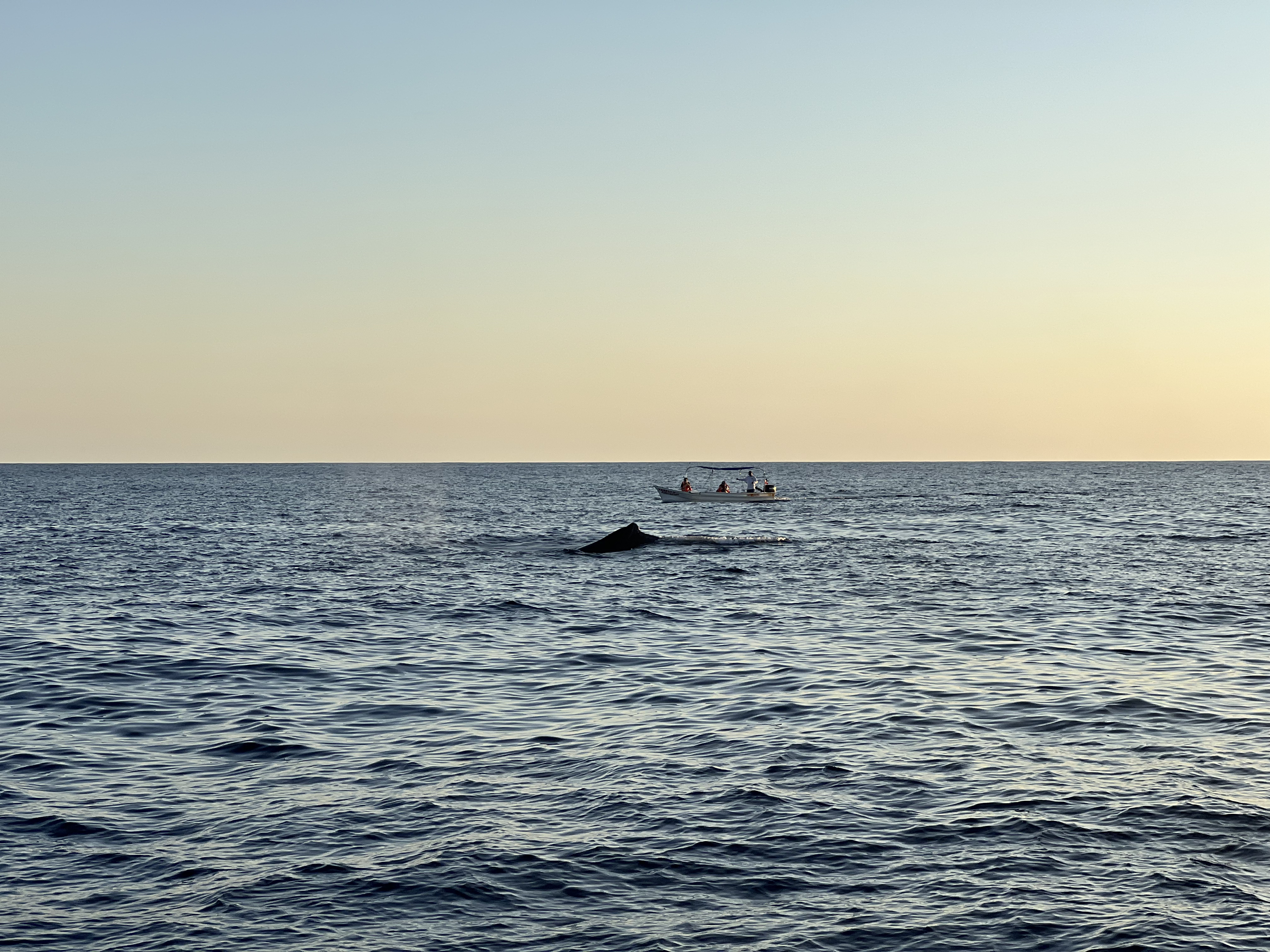 ./2024/13 - Cabo/IMG_4741.jpg